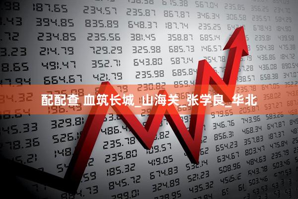 配配查 血筑长城_山海关_张学良_华北